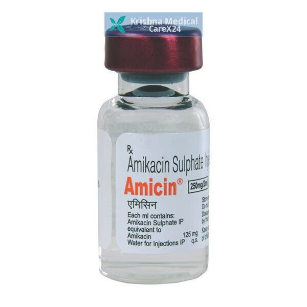 Amicin 250 Injection