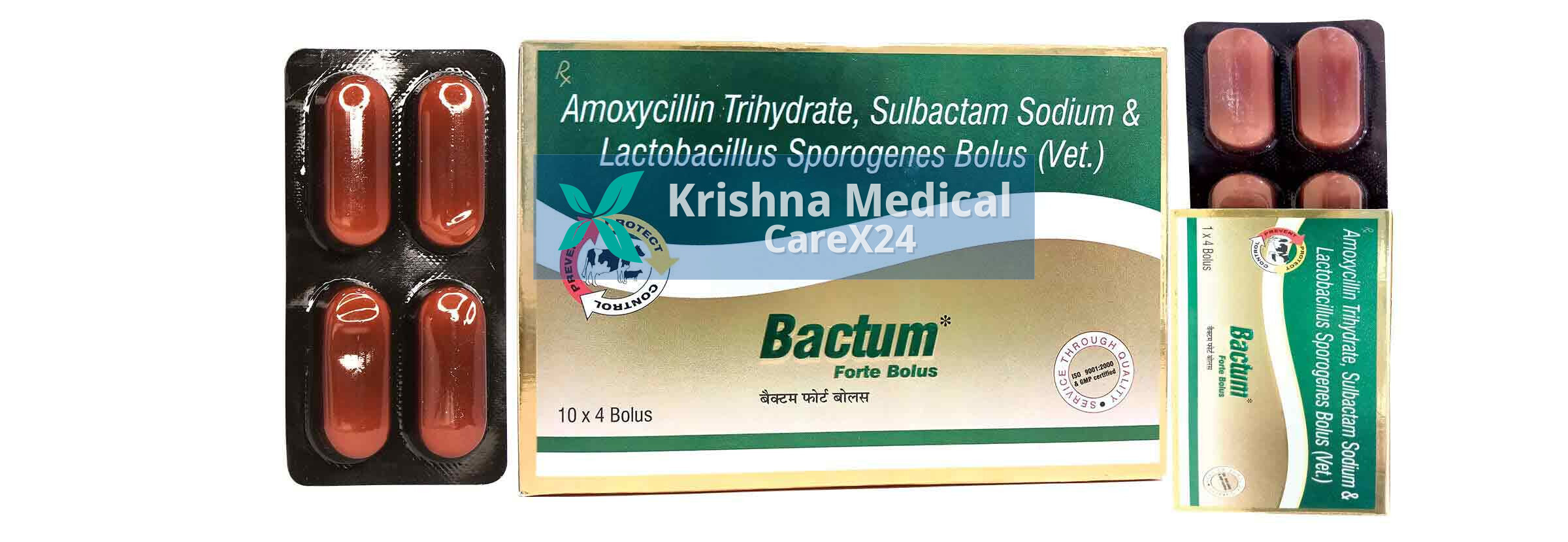 Bactum Forte Bolus