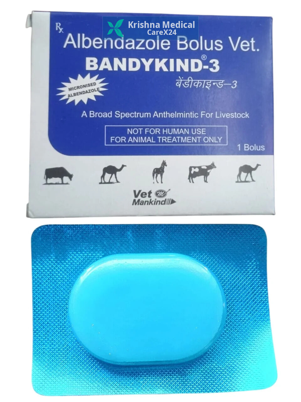 Bandykind 3 Bolus