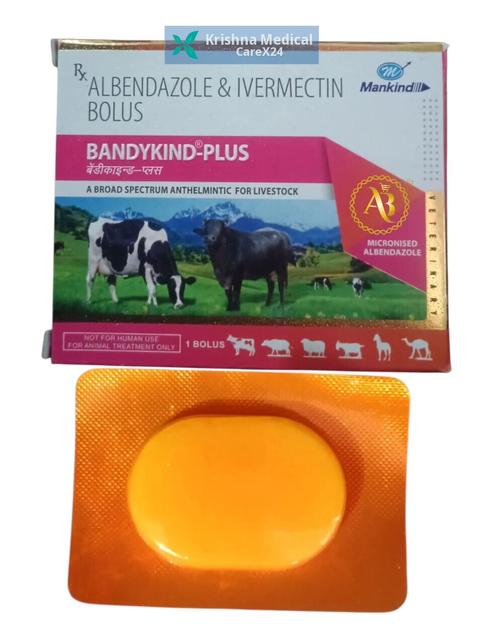 Bandykind Plus Bolus