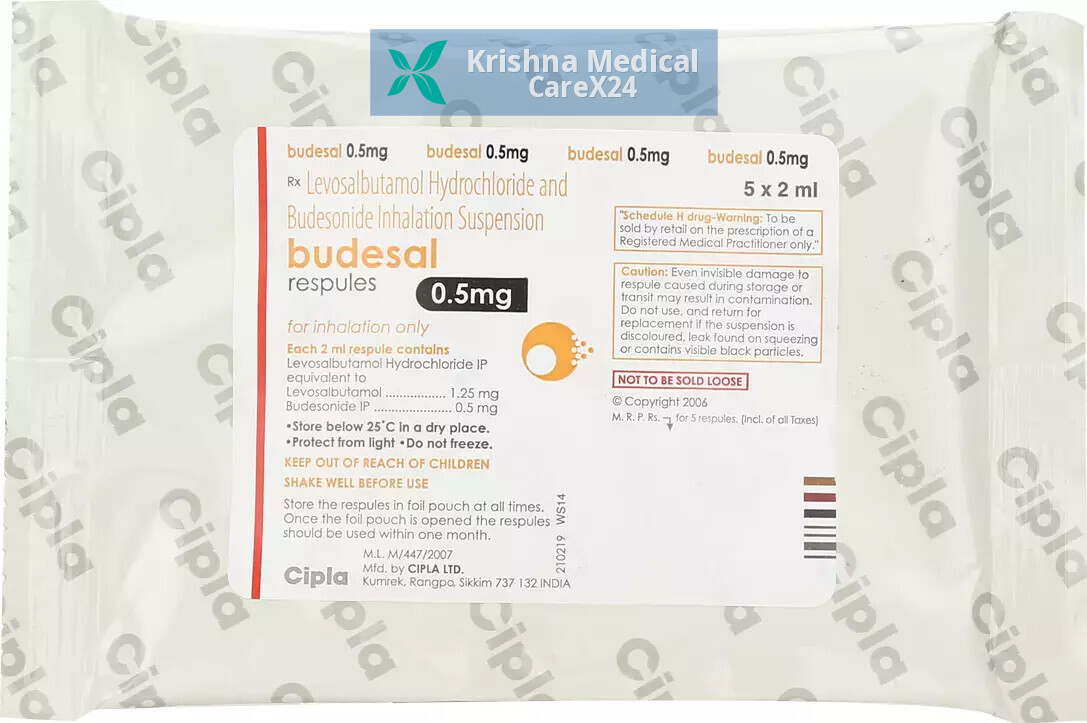 Budesal 0.5 Respules (5 Respules X 2 Ml)