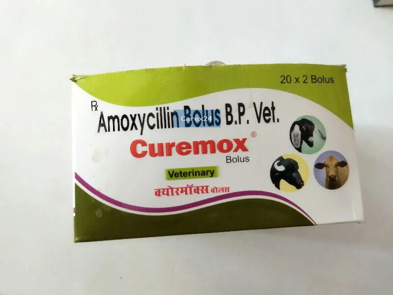 Curemox Bolus