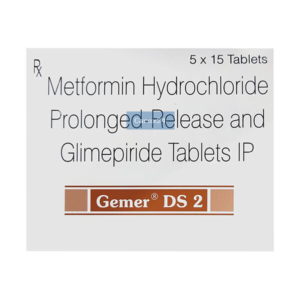 Gemer DS 2 Tablet