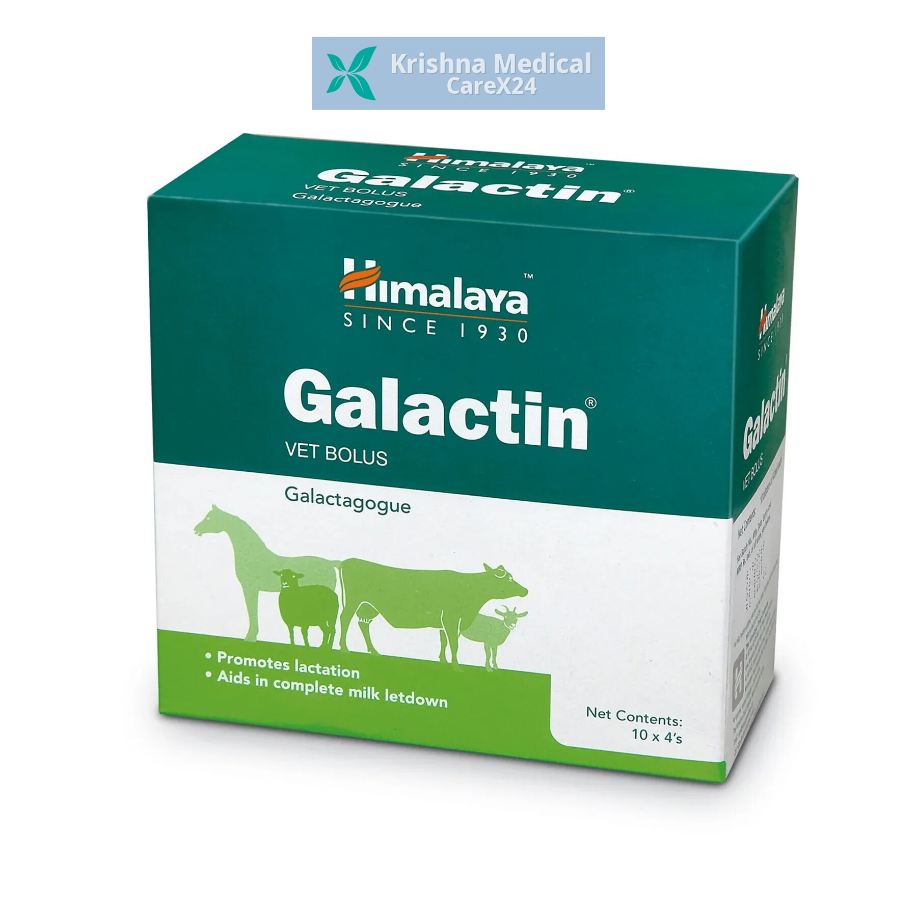Himalaya Galactin Vet Bolus