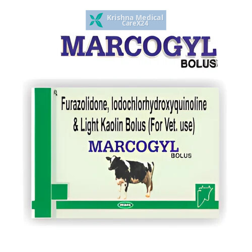 Marcogyl Bolus