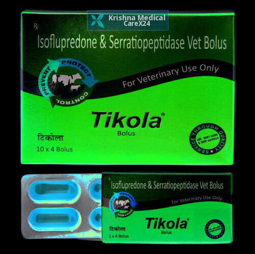 Tikola Bolus